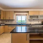 Villa Hugo - Bright Modern Walk To Restaurants Albufeira